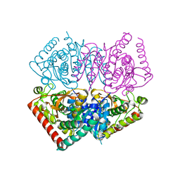 BU of 6vdi by Molmil