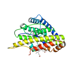 BU of 6vdp by Molmil