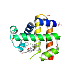 BU of 6vdu by Molmil