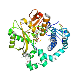 BU of 6vf0 by Molmil