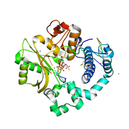 BU of 6vf3 by Molmil