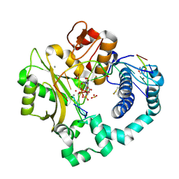 BU of 6vf4 by Molmil