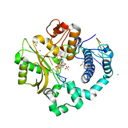 BU of 6vf6 by Molmil