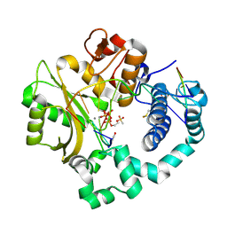 BU of 6vf8 by Molmil