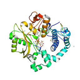 BU of 6vfa by Molmil