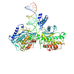 BU of 6vff by Molmil