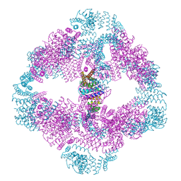 BU of 6vfi by Molmil