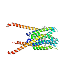 BU of 6vgi by Molmil