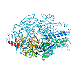 BU of 6vkc by Molmil