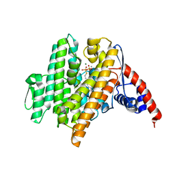 BU of 6vl0 by Molmil