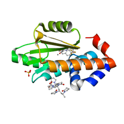 BU of 6vl3 by Molmil