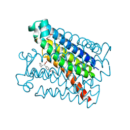 BU of 6vl4 by Molmil