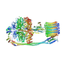 BU of 6vm1 by Molmil