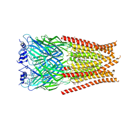 BU of 6vm3 by Molmil