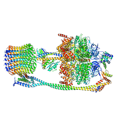 BU of 6vm4 by Molmil