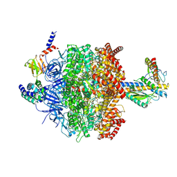 BU of 6vmd by Molmil