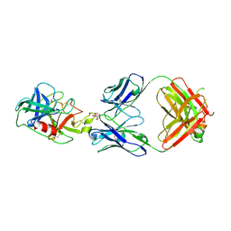 BU of 6vmj by Molmil