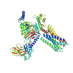 BU of 6vms by Molmil