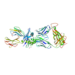 BU of 6vmx by Molmil