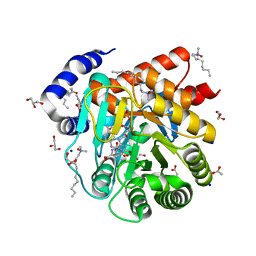 BU of 6vnd by Molmil