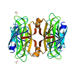 BU of 6vp2 by Molmil