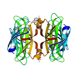 BU of 6vp3 by Molmil