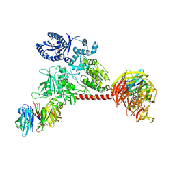 BU of 6vp6 by Molmil