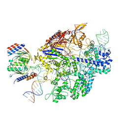 BU of 6vpc by Molmil