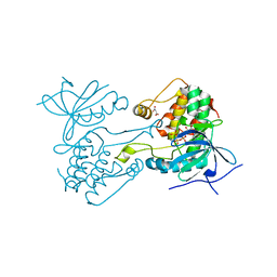 BU of 6vpi by Molmil