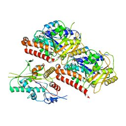 BU of 6vpp by Molmil