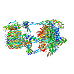 BU of 6vq6 by Molmil