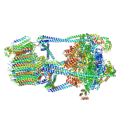 BU of 6vq7 by Molmil