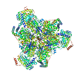 BU of 6vqa by Molmil