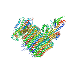 BU of 6vqc by Molmil