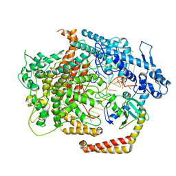 BU of 6vrb by Molmil