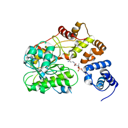 BU of 6vtj by Molmil