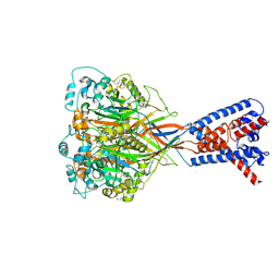 BU of 6vtk by Molmil