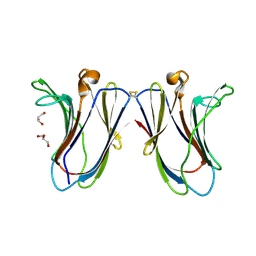 BU of 6vtp by Molmil