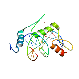 BU of 6vtx by Molmil