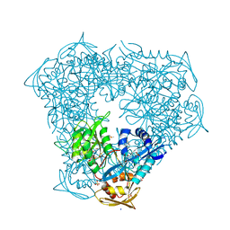 BU of 6vv1 by Molmil