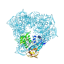 BU of 6vv2 by Molmil