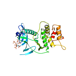 BU of 6vvd by Molmil