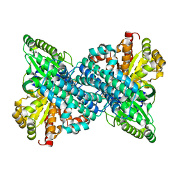 BU of 6vx1 by Molmil