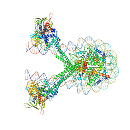 BU of 6vyp by Molmil