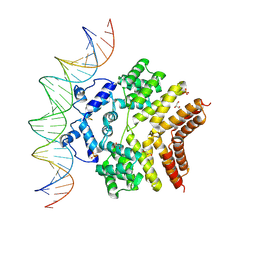 BU of 6w1a by Molmil