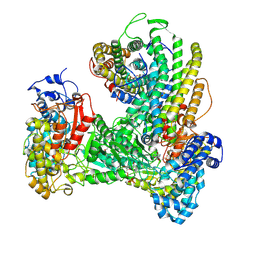 BU of 6w4x by Molmil