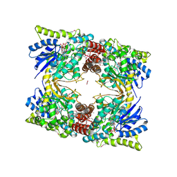 BU of 6wbt by Molmil