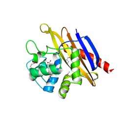 BU of 6whl by Molmil