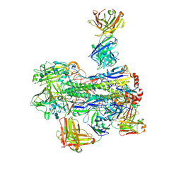 BU of 6wj1 by Molmil