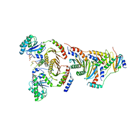 BU of 6wj2 by Molmil